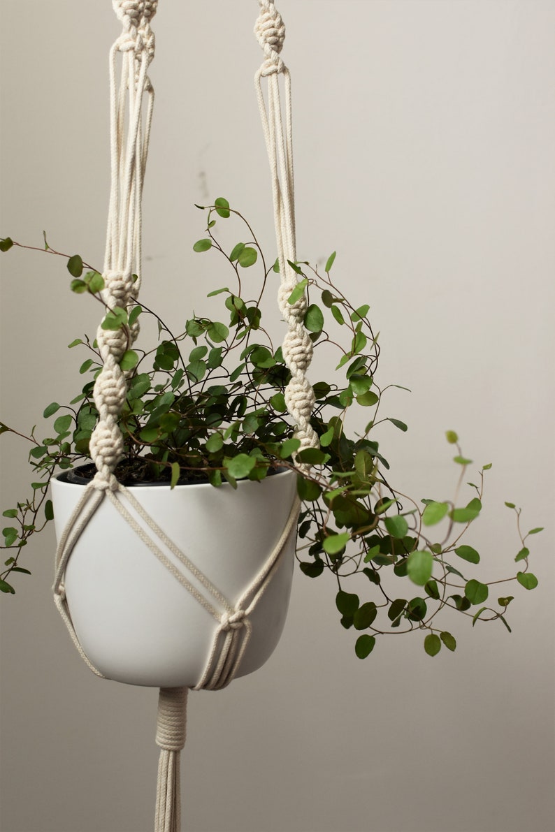 EASY Macrame pattern for modern plant hanger, BEGINNER diy macrame tutorial, step-by-step PDF knot guide, how to make simple macrame planter image 4