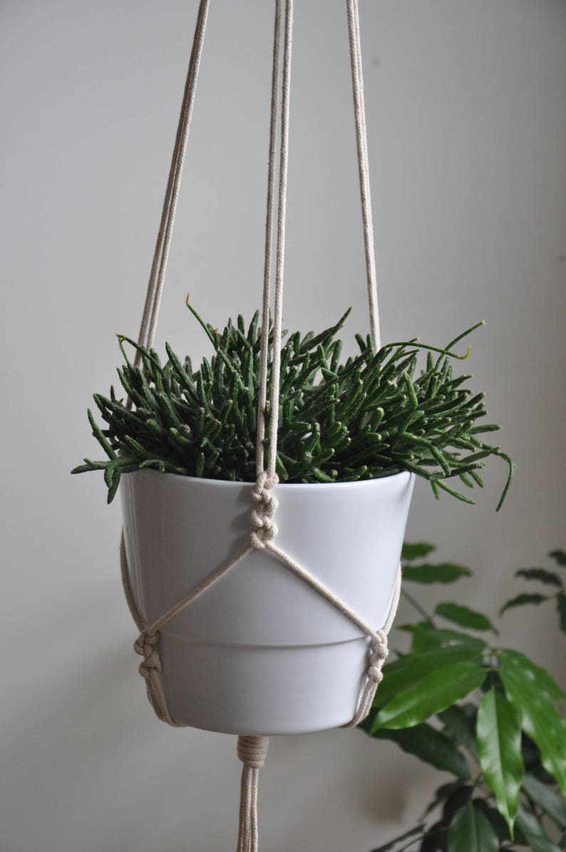 boho plant holder succulents planter modern macrame macrame plant hanger minimalistic macrame plant holder hygge decor hanging planter