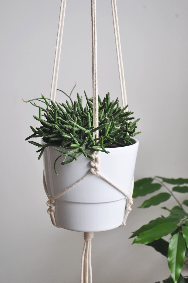 boho plant holder succulents planter modern macrame macrame plant hanger minimalistic macrame plant holder hygge decor hanging planter