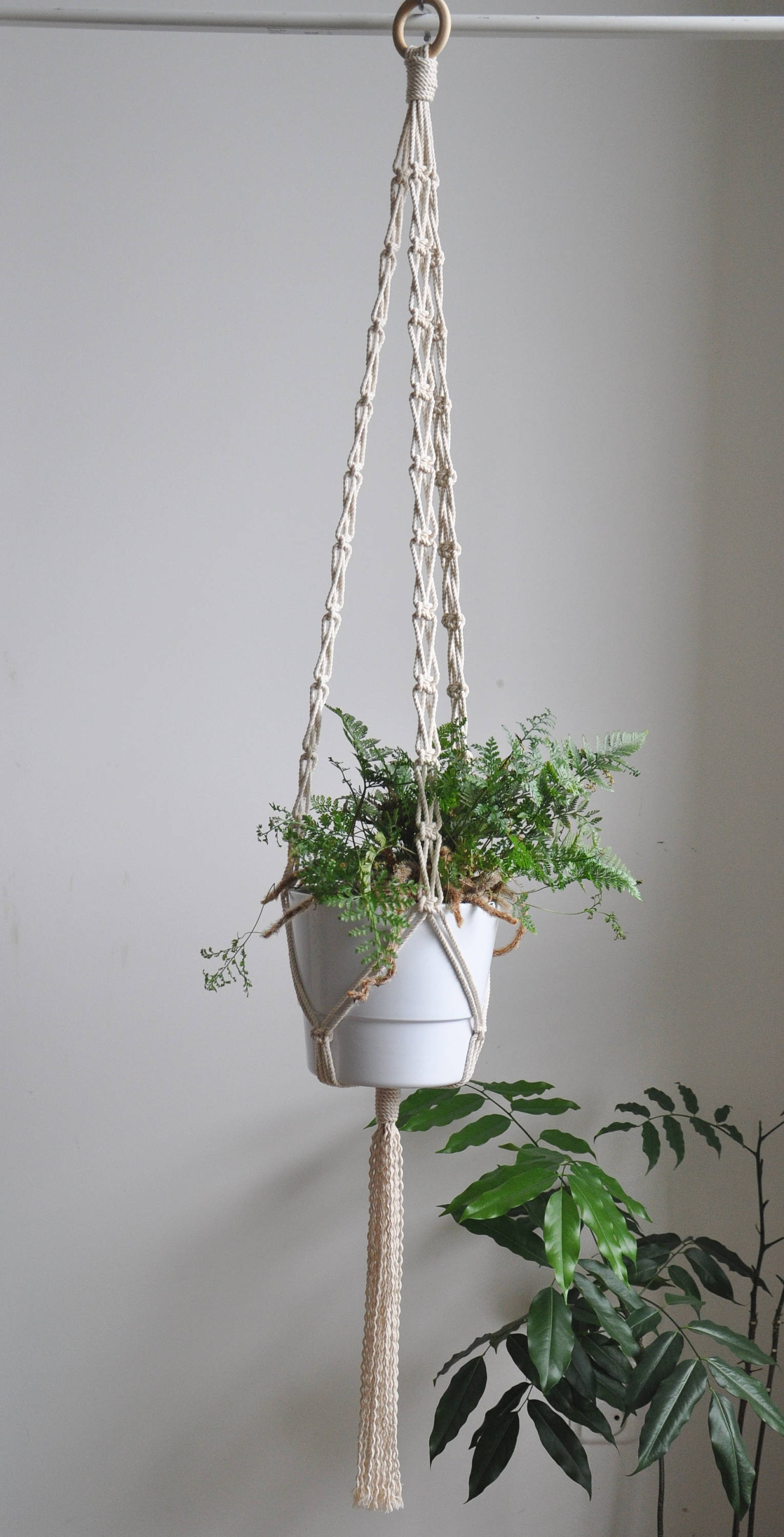 Boho macrame macrame plant hanger hanging planter natural | Etsy