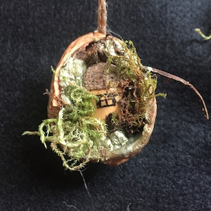 Op de afbeelding: Een miniatuurhuisje van hout, geschilderd in bruin met een enkel raam, is genesteld in een walnootschelp. De schelp is versierd met mos en bladgoud.