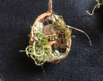 Può includere: Una casa in miniatura in legno, dipinta di marrone con un'unica finestra, è incastonata in un guscio di noce. Il guscio è decorato con muschio e foglia d'oro.