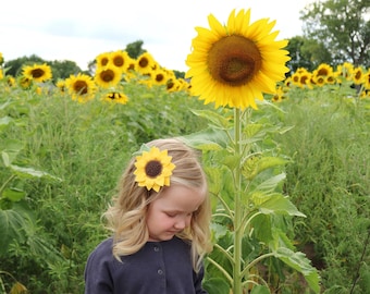 Sunflower Hair Clip, wool felt flowers, girl hair accessories