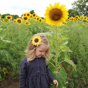 Sunflower Hair Clip, wool felt flowers, girl hair accessories
