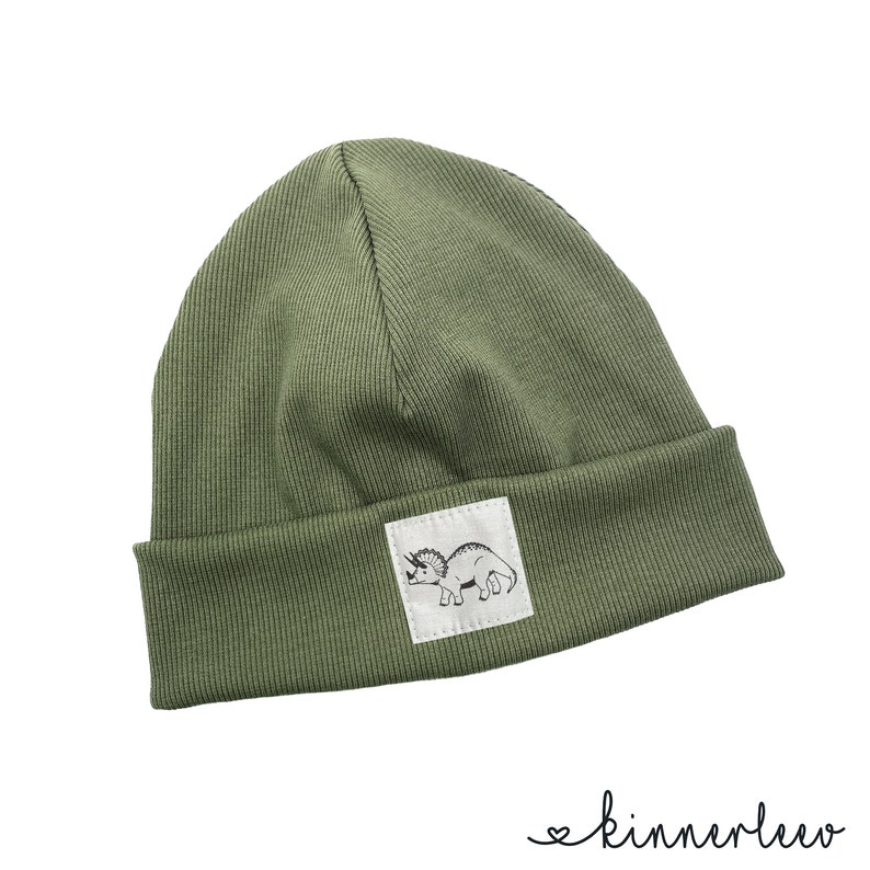 Puede incluir: Un gorro de punto verde con un parche blanco que muestra una ilustraci&oacute;n en blanco y negro de un dinosaurio.