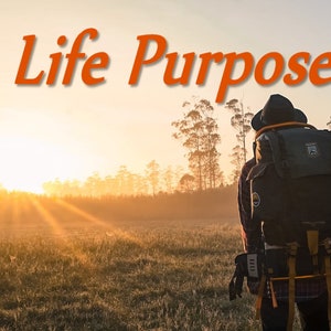What is your life purpose tarot reading psychic reading same day spiritual insight tarot reading guidance.