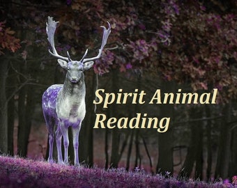 Power Spirit animal reading totem animal message guidance animal guide psychic spiritual reading.