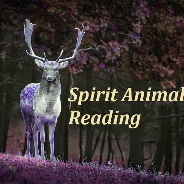 Power Spirit animal reading totem animal message guidance animal guide psychic spiritual reading.