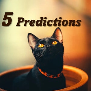 5 predictions reading psychic tarot reading future accurate five predictions psychic readings.