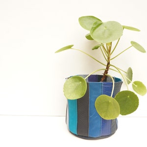 Leather Planter MEDIUM Blue Stripes image 4