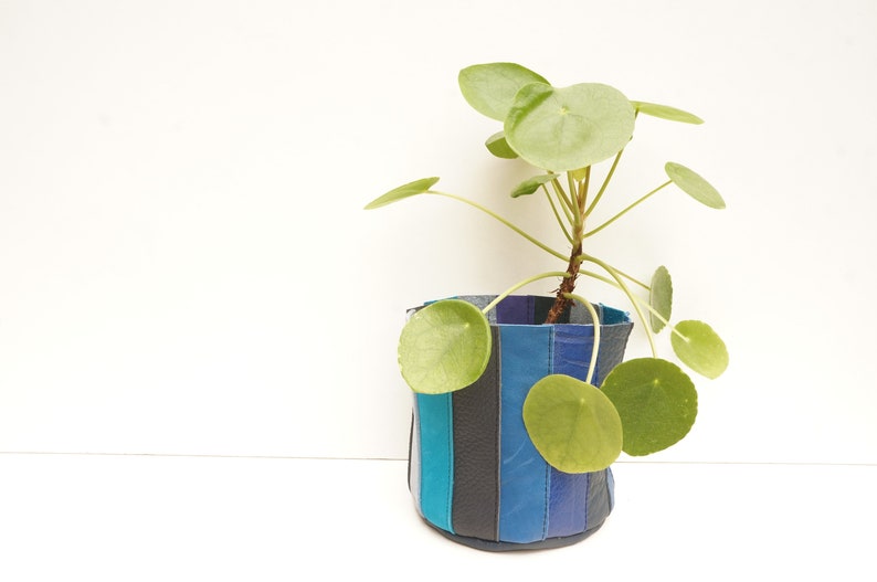 Leather Planter MEDIUM Blue Stripes image 4