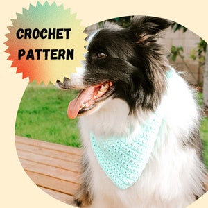 PATTERN/Jesse Crochet Pet Bandana (English), Beginner Friendly Crochet Pattern