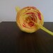 Plarn Yellow Plastic Bag Yarn 50 yards Yellow Red Varegaited Green Recycled Upcycled Knit Crochet Thread String Cord Knit Supply Notion