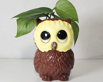 May include: A brown and yellow ceramic owl planter with large black eyes and a small beak. The owl is holding a green leafy plant. The planter has a textured surface and is sitting on a white surface.