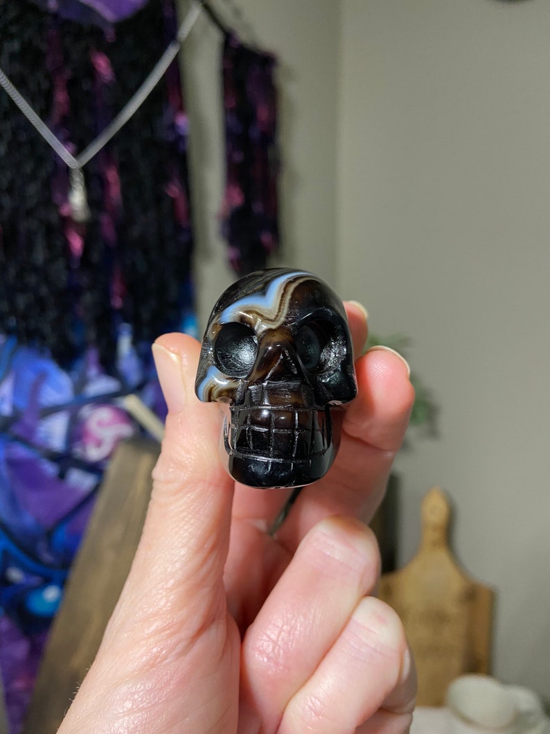 Crystal skulls ~ Zebra agate skulls ~ Crystal agate skulls ~ Skull decor