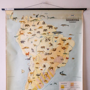 Originele Vintage Mid Century Duitse Educatieve School Wall Chart ZUID-AMERIKA Kaart LandGebruik WILDLIFE Rare Jro