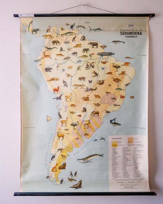 Original Vintage Mid Century German Educational School Wall Chart SOUTH AMERICA Map Land Use WILDLIFE Rare Jro
