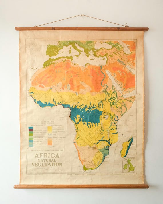 Original Vintage Mid Century German Educational School Wall Chart AFRICA VEGETATION MAP Quirky Geography Beautiful Rare Philips