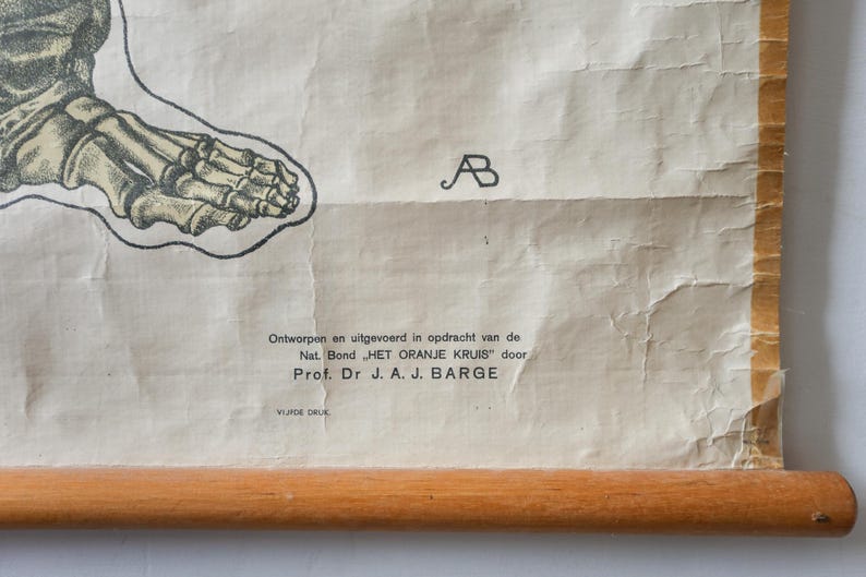 Original ANATOMICAL Vintage Dutch Educational School Wall Chart Human ...