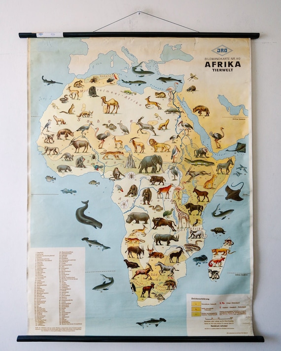 Original Vintage Mid Century German Educational School Wall Chart AFRICA WILDLIFE MAP Quirky Geography Beautiful Rare Jro