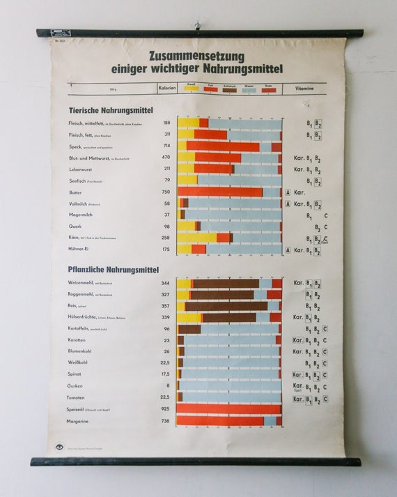 Original SCIENTIFIC TECHNICAL Vintage German School Wall Chart NUTRITION Nutritional Values Graphic Design