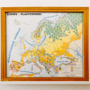 Originale Vintage Fiammingo Educativo Scuola Carta a Muro EUROPA VEGETAZIONE POLITICA Geologia Mappa Bella Rara