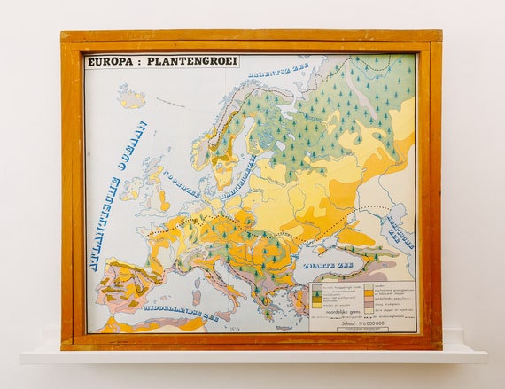 Original Vintage Flemish Educational School Wall Chart EUROPE VEGETATION POLITICAL Geology Map Beautiful Rare