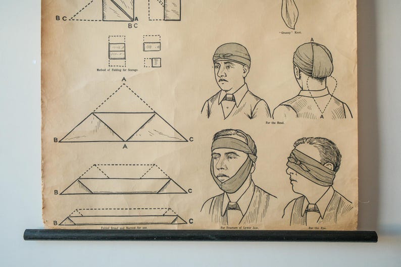 Original ANATOMICAL Vintage British School Wall Chart TRIANGULAR ...
