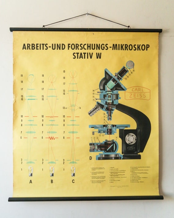 Original SCIENTIFIC Technical Vintage German School Wall Chart Carl ZEISS MICROSCOPE Industrial Rare Eductional
