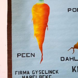 HAND-PAINTED Original Botanical Vintage Flemish School Wall Chart ...