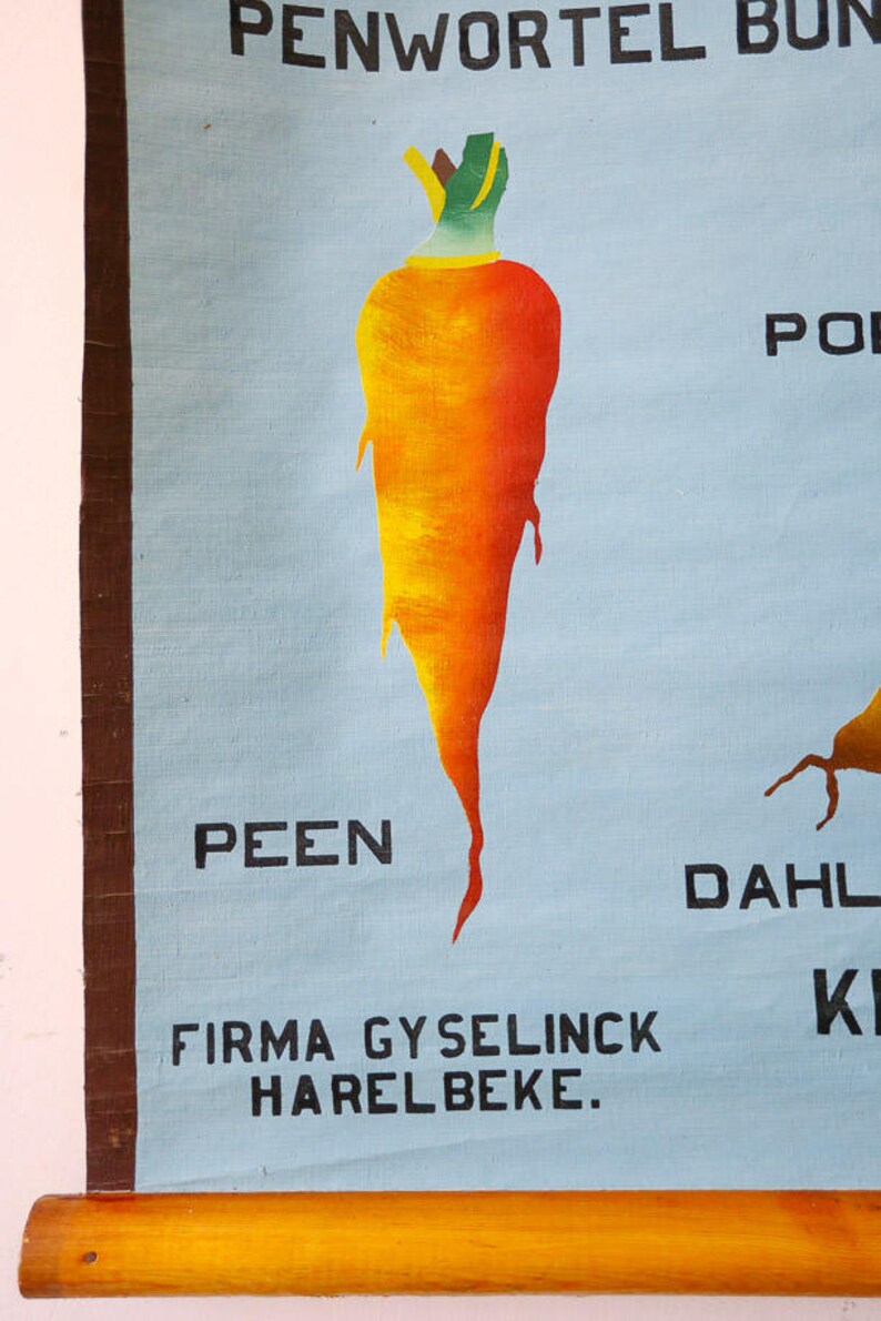 HAND-PAINTED Original Botanical Vintage Flemish School Wall Chart ...