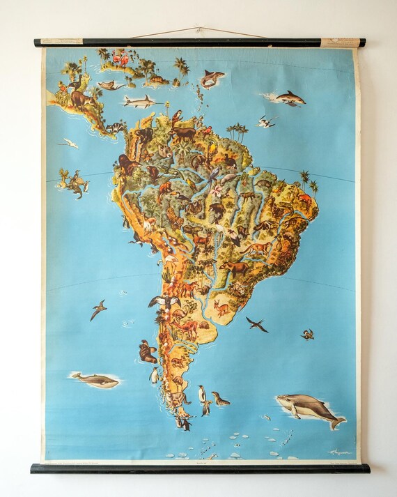 Original Vintage Mid Century German Educational School Wall Chart SOUTH AMERICA MAP Wildlife Quirky Geography Beautiful Rare Westermann