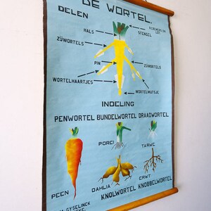 HAND-PAINTED Original Botanical Vintage Flemish School Wall Chart ...