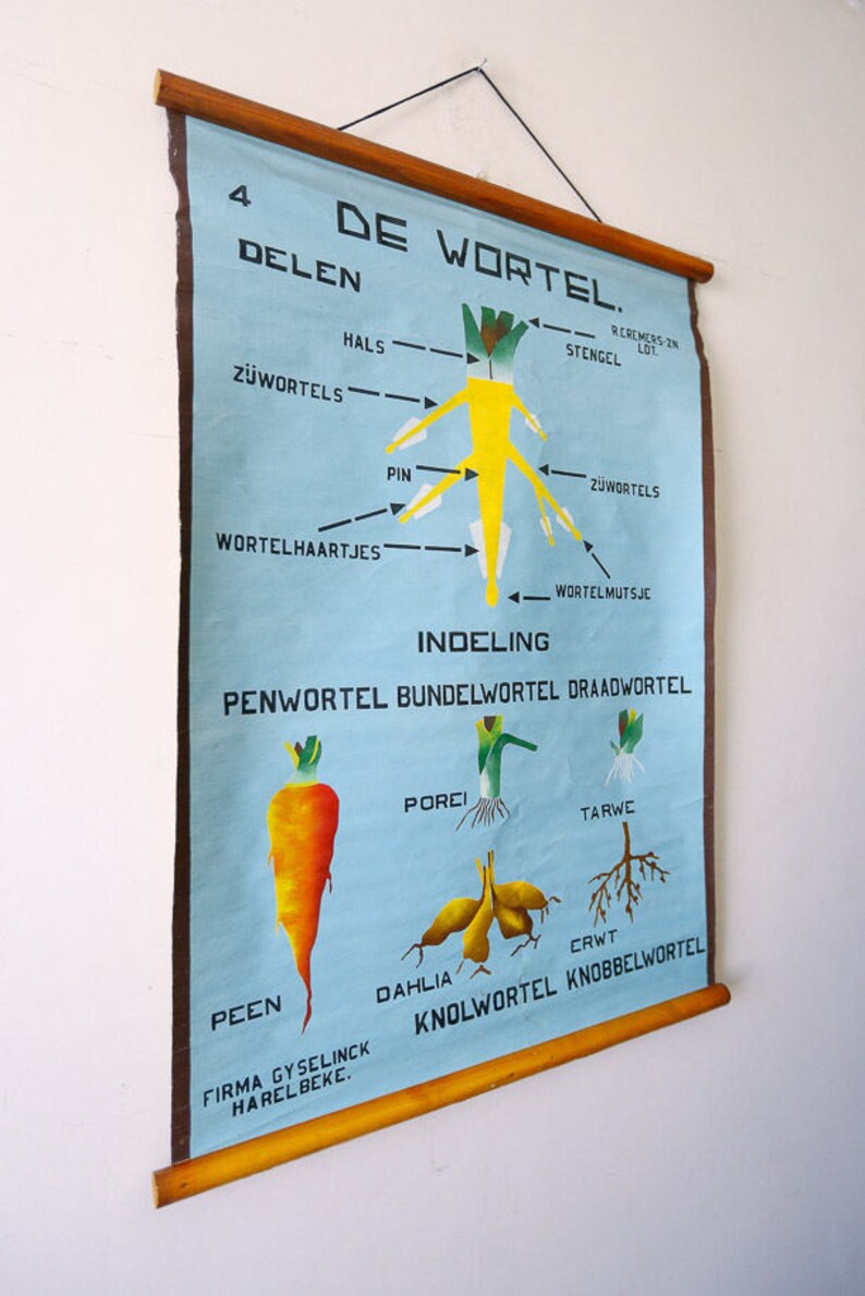 HAND-PAINTED Original Botanical Vintage Flemish School Wall Chart ...
