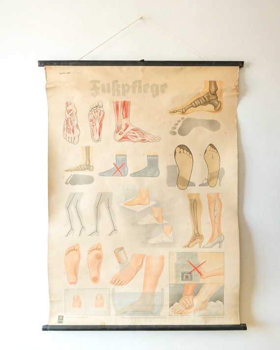 Original ANATOMICAL Vintage German Educational School Wall Chart FOOT Care FEET Bones Anatomy Medicine Deutsches Science Museum Rare