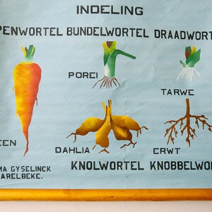 HAND-PAINTED Original Botanical Vintage Flemish School Wall Chart ...