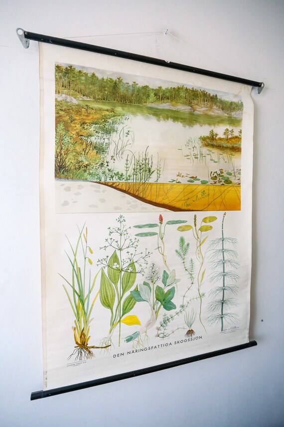 Canvas Wall Art Print Botanical New British Vintage Carrot Plant Home Decor