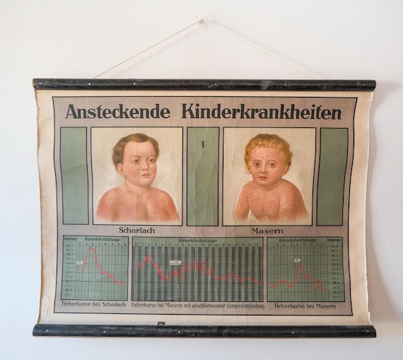 Antique ANATOMICAL Vintage German School Wall Chart Contagious CHILDHOOD DISEASES Measles Scarlett Fever Anatomy Medicine Science Rare