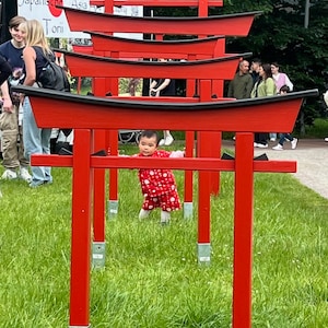 Pu&ograve; includere: Una bambina con un vestito a pois rosso e bianco cammina attraverso una serie di torii rossi. I torii sono installati in un'area erbosa con vegetazione verde sullo sfondo.
