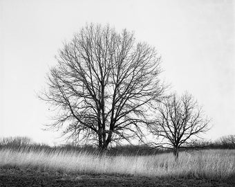 El invierno esta aqui