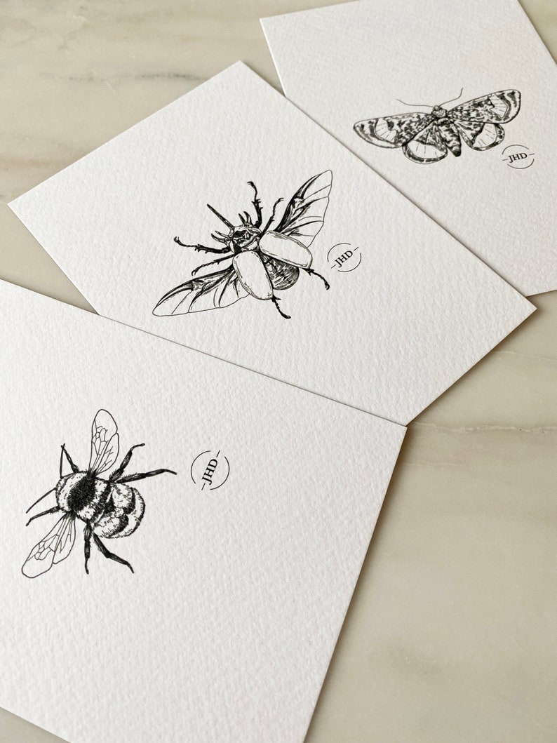 INSECT MINI BUNDLE
