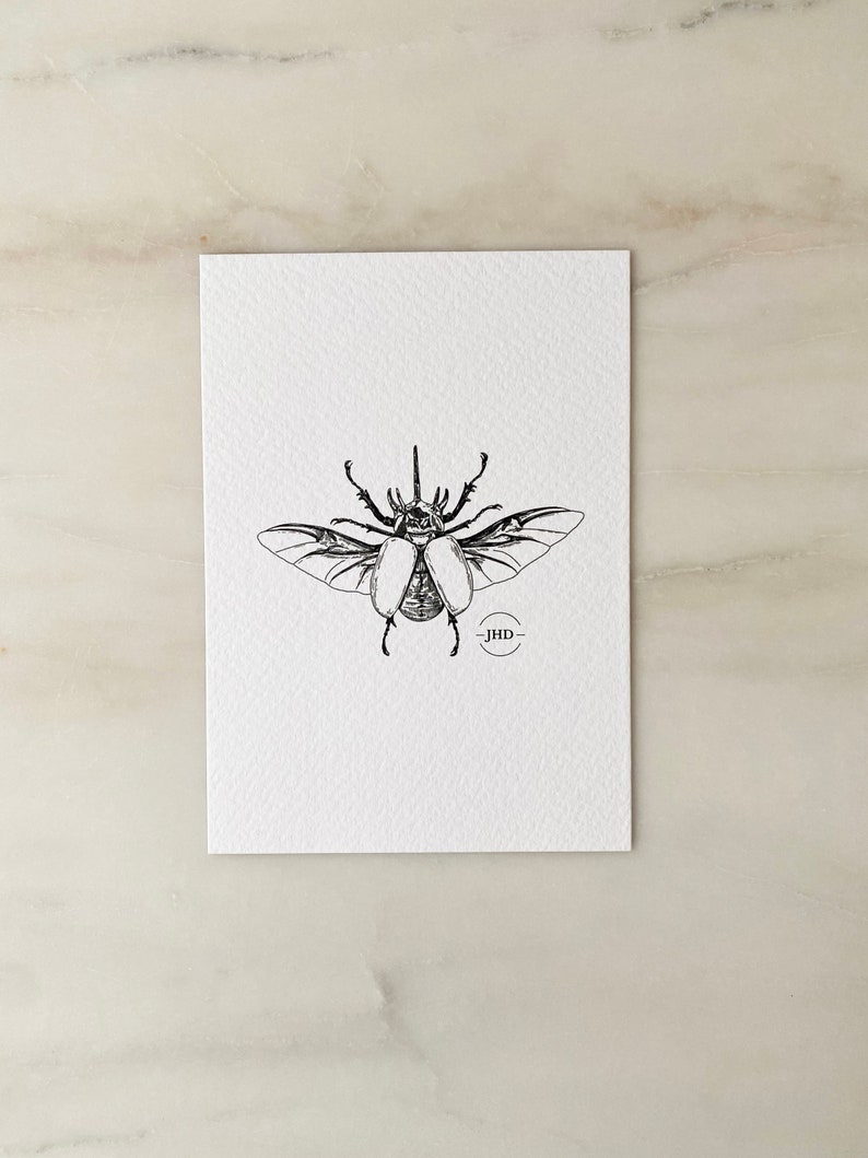 INSECT MINI BUNDLE