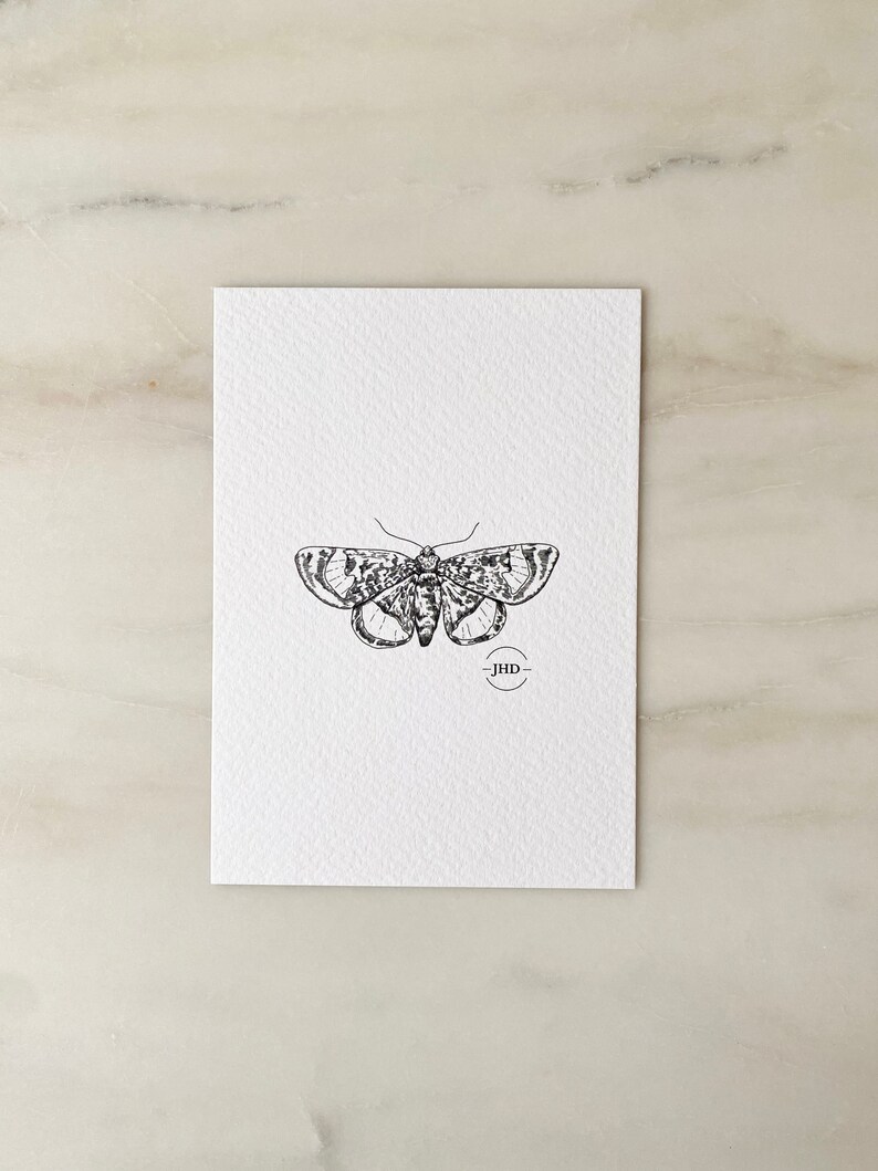 INSECT MINI BUNDLE