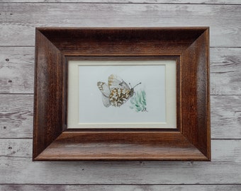 Butterfly Original Watercolor Painting with Wood Frame, 4 x 6 Inches