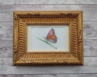 Butterfly Original Watercolor Painting with Faux Gold Frame, 4 x 6 Inches