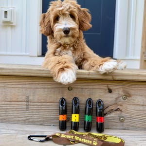 Akc und nacsw zugelassene Duftröhrchen für das Training der Hundenasenarbeit. Magnetische PVC-Duftröhrchen, versteckt für Anis Birken Nelken oder Zypressen k9