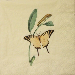 4 Paper Napkins with butterfly and caterpillar, Decoupage paper,Paper for scrapbooking,Scrapbooking napkins,Art Collection,Wedding.Nr39