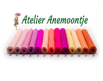 May include: A row of 12 felt rolls in various shades of pink, orange, and yellow. The felt rolls are arranged in a gradient from light pink to dark orange. The text "Atelier Anemoontje" is printed above the felt rolls.