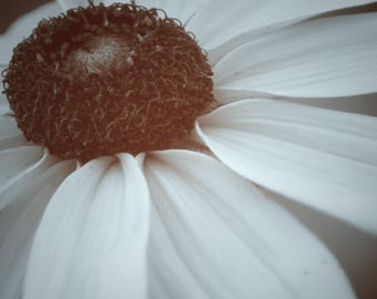 A touch of white