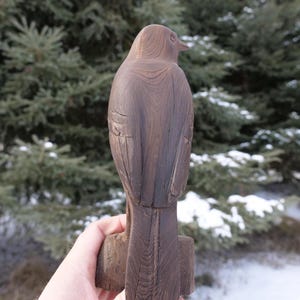 Peut inclure: Une sculpture d'oiseau en bois sculpté dans du bois foncé avec un design détaillé. L'oiseau est tourné vers la droite et a une longue queue. La sculpture est posée sur une base.